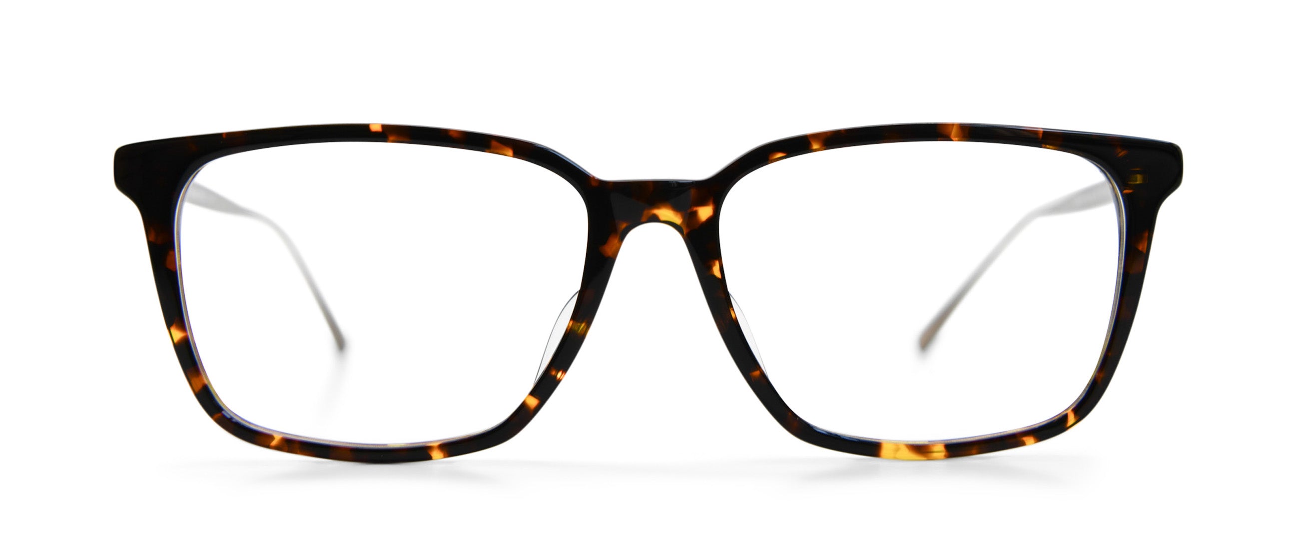 Tortoise / Antique Gold