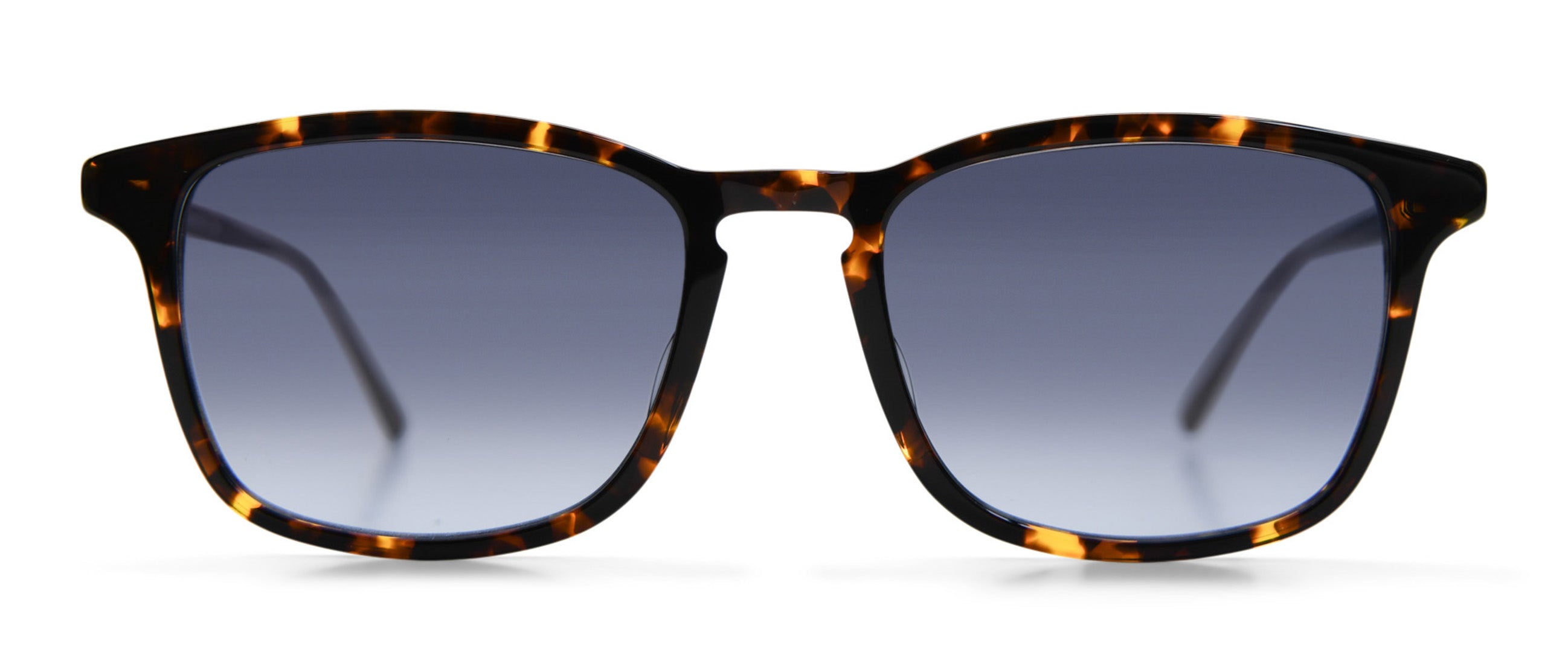 Tortoise / Antique Gold