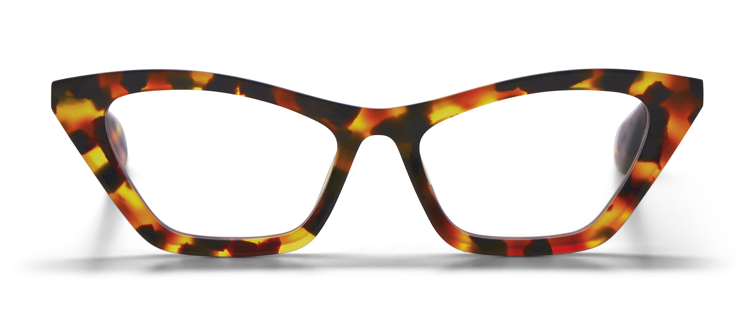 Amber Tortoise