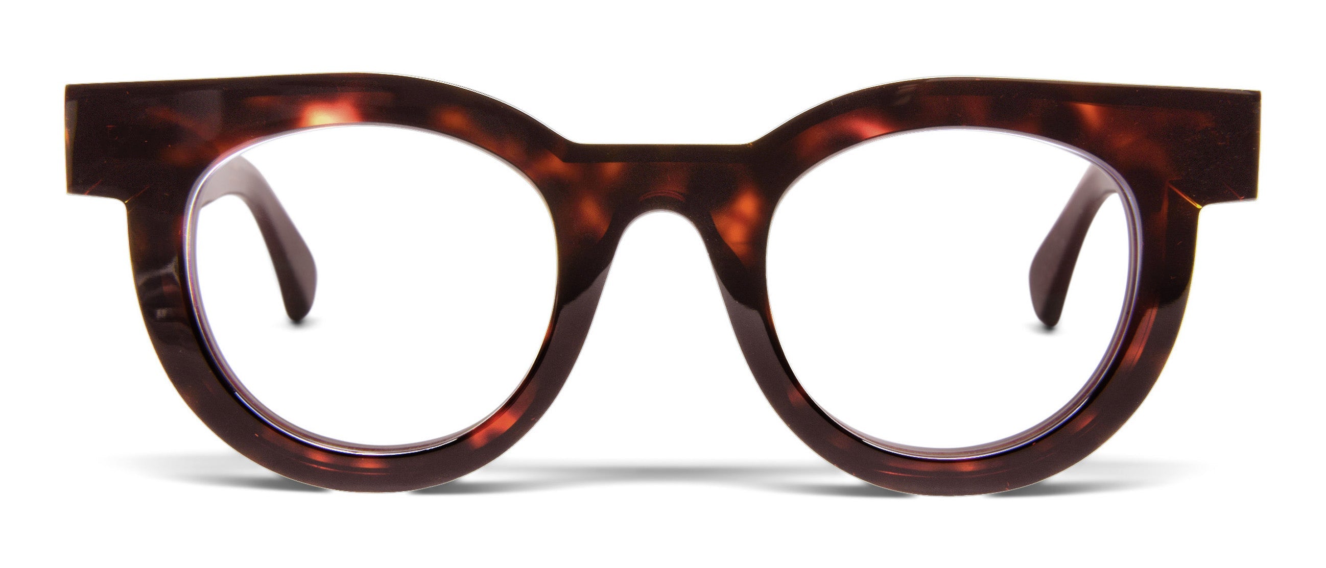 Dark Havana Tortoise