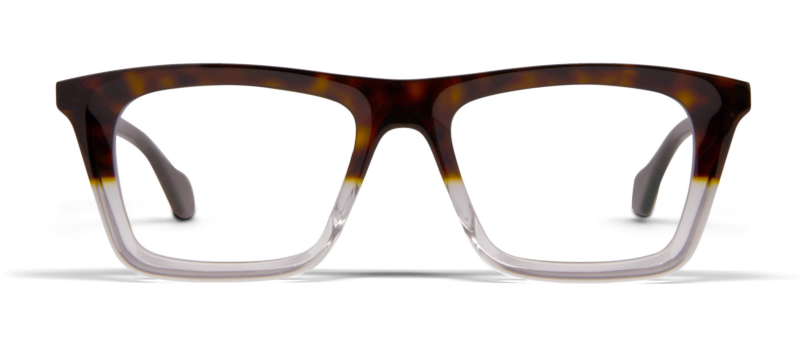 Brown Dalmation / Transparent