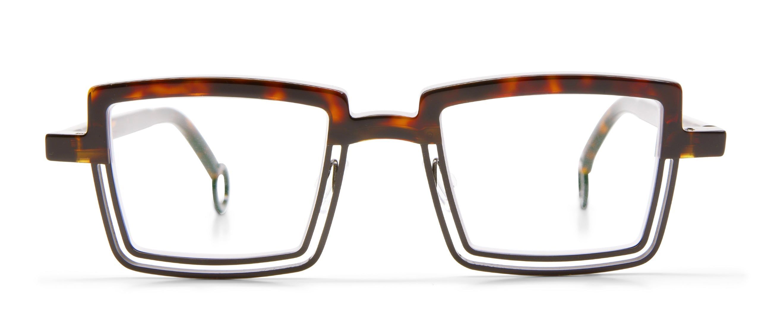 Tortoise / Black