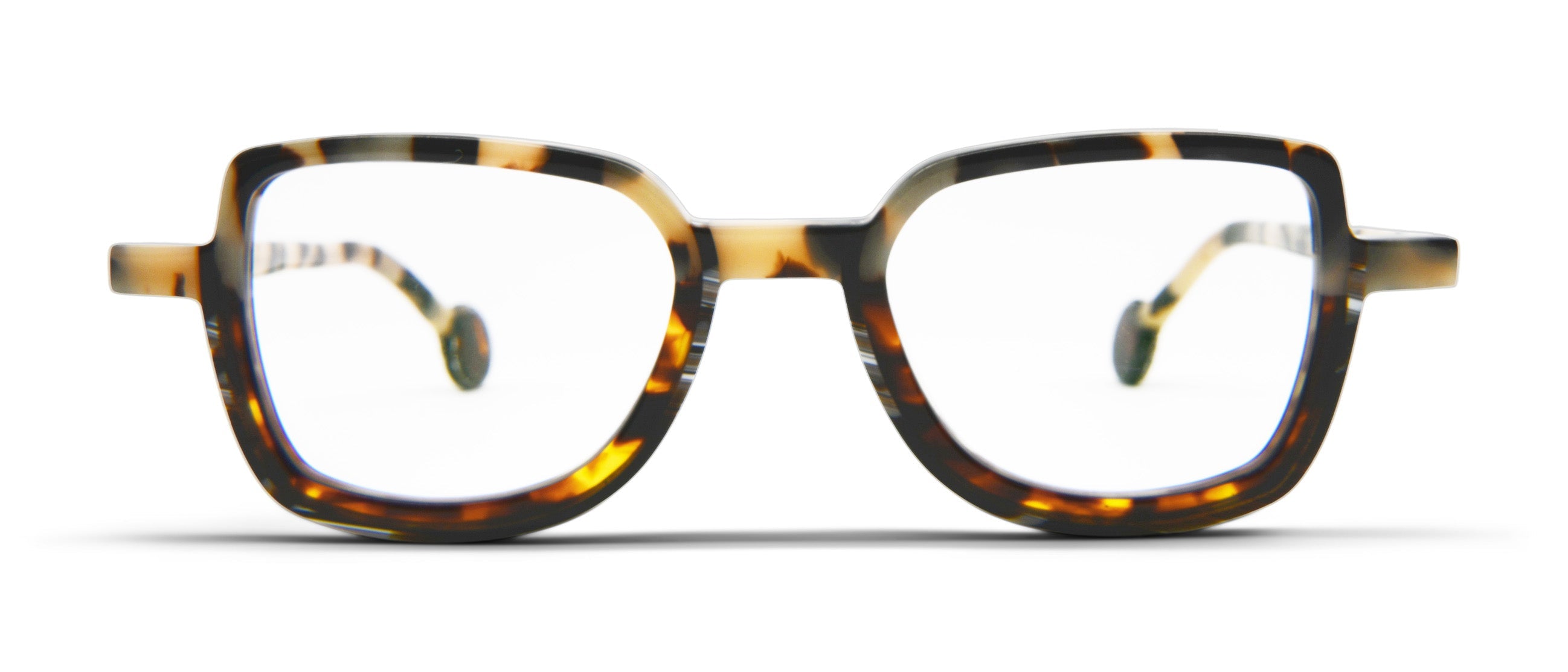 Dalmatian / Dark Brown Horn / Brown Tortoise