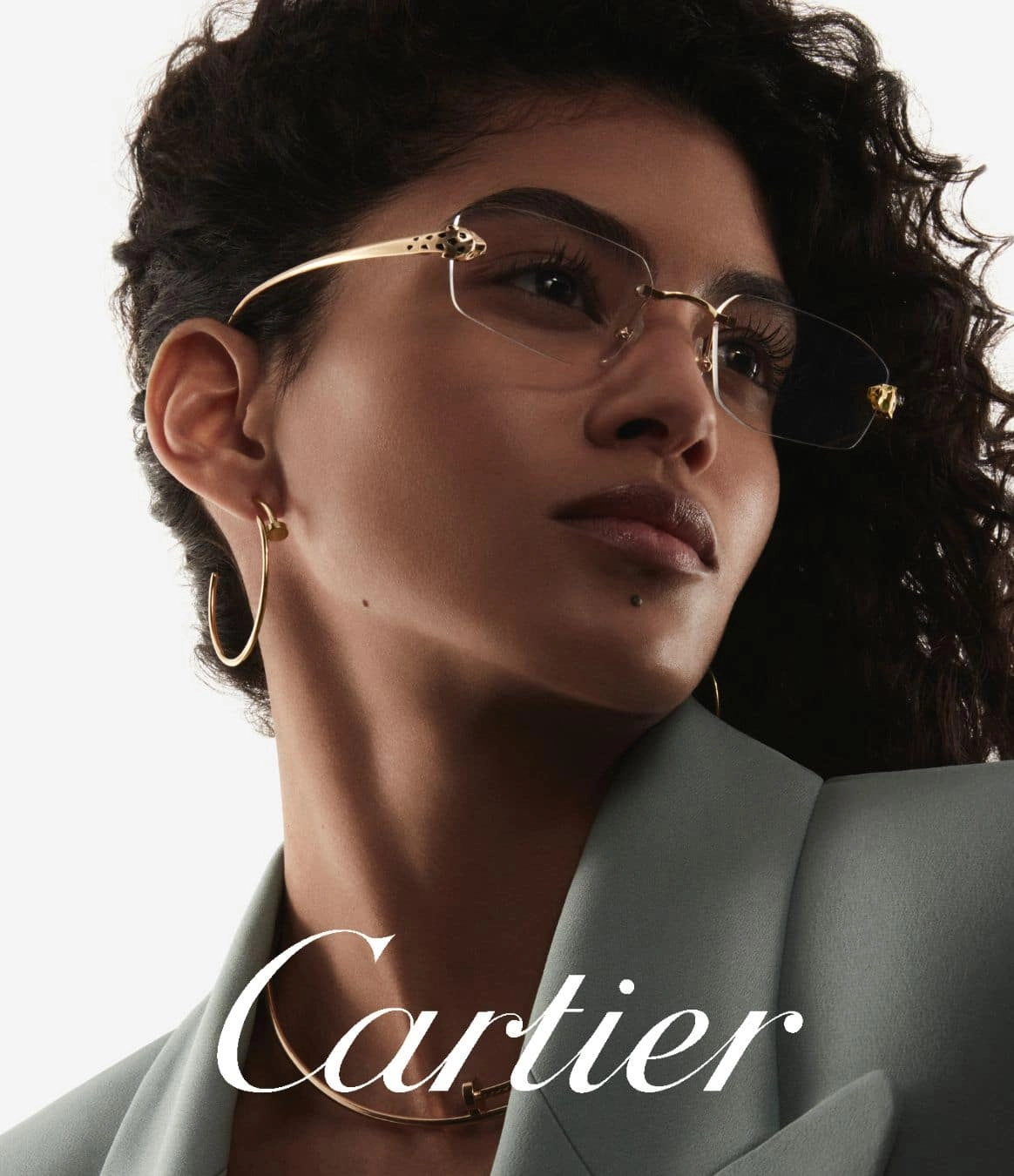 Cartier  banner image illustration luxury glasses