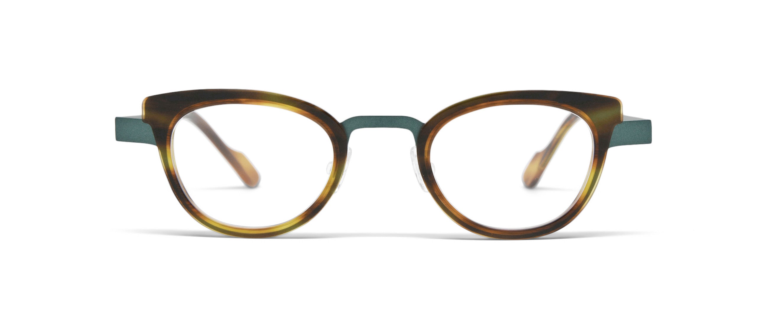 Tortoise / Teal