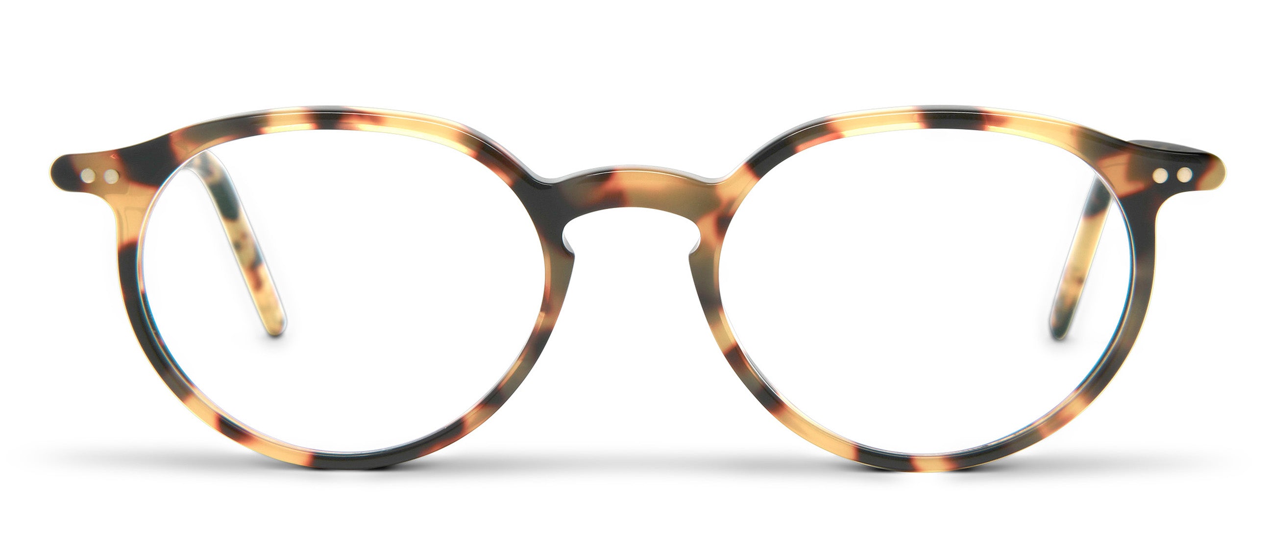 Tokyo Tortoise