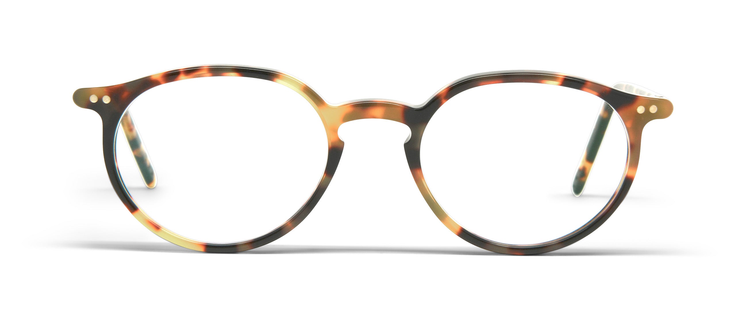 Tokyo Tortoise